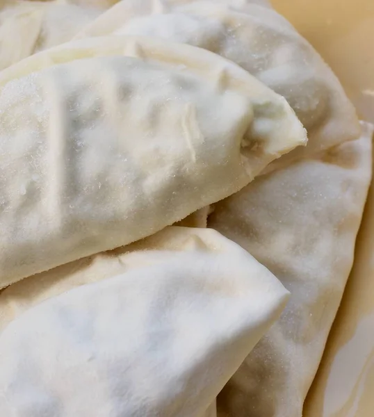 Traditionell Asiatisk Mat Fryst Dumplings — Stockfoto
