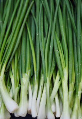 Taze organik sebzeler Galler soğanı