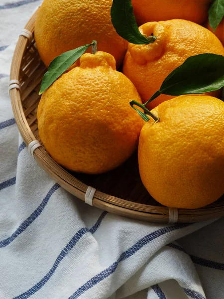 Jeju Hallabong Frutas Orgânicas Frescas Uma Cesta — Fotografia de Stock