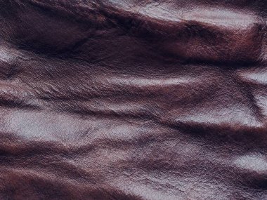 Buruşuk Kahverengi Sığır Balığı Arkaplan Resmi