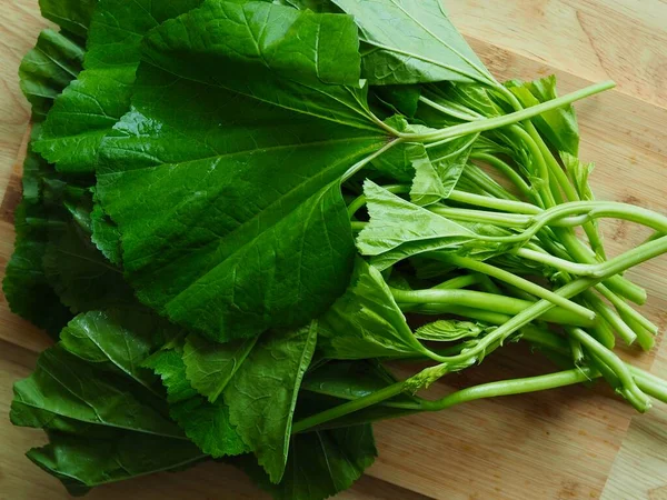 Malva Vegetal Natural Orgánica Fresca — Foto de Stock