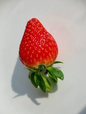 Taze Organik Meyve Çileği Resmi