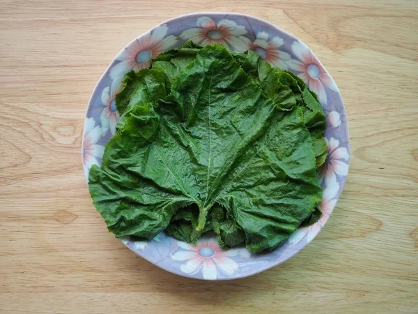 Feuilles Citrouille Ingrédients Cuisine Vert — Photo