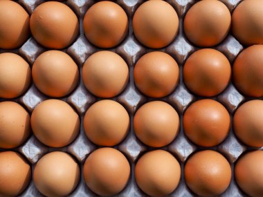 Taze kahverengi yumurta, yemek, yemek malzemeleri.