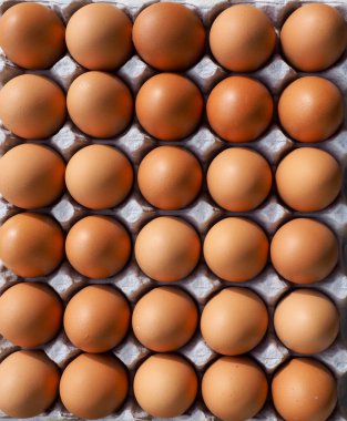 Taze kahverengi yumurta, yemek, yemek malzemeleri.