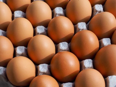 Taze kahverengi yumurta, yemek, yemek malzemeleri.