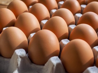 Taze kahverengi yumurta, yemek, yemek malzemeleri.