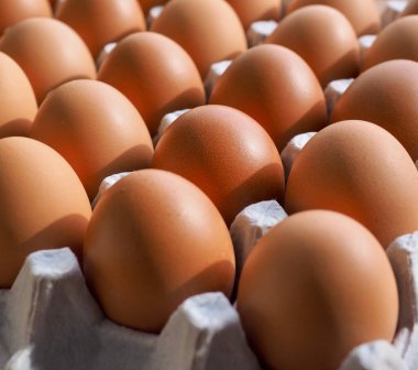 Taze kahverengi yumurta, yemek, yemek malzemeleri.