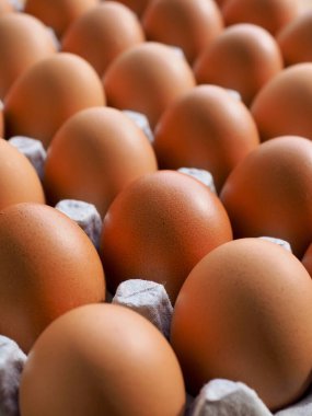 Taze kahverengi yumurta, yemek, yemek malzemeleri.