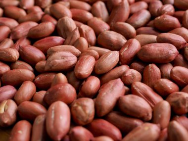 Organik fıstıklar, yiyecekler, atıştırmalıklar.