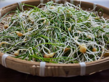 Kore yemeği malzemeleri, yabani soğan.