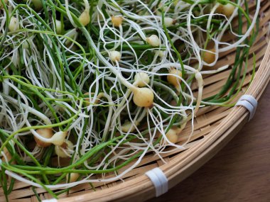 Kore yemeği malzemeleri, yabani soğan.