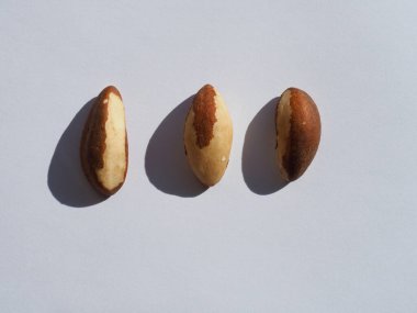 Organic Brazil Nuts with White Background