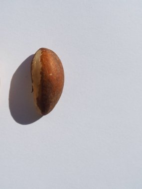 Organic Brazil Nuts with White Background