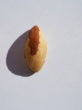 Organic Brazil Nuts with White Background