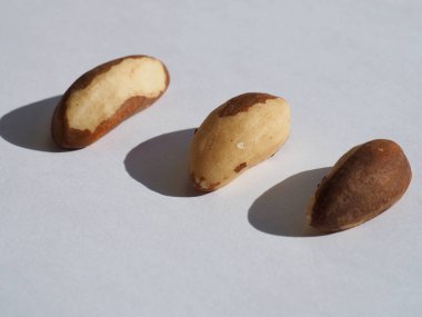 Organic Brazil Nuts with White Background