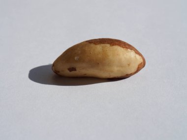 Organic Brazil Nuts with White Background