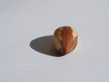 Organic Brazil Nuts with White Background