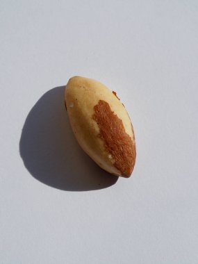 Organic Brazil Nuts with White Background