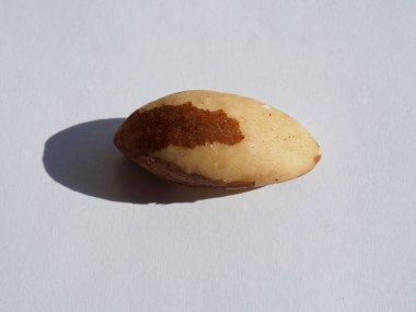 Organic Brazil Nuts with White Background