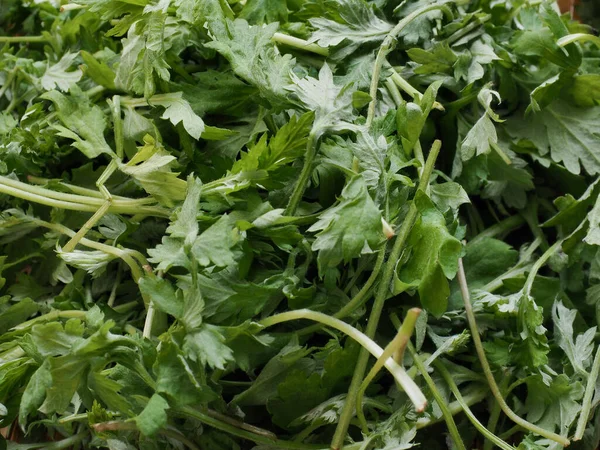 Green leafy vegetables, mugwort, food ingredients