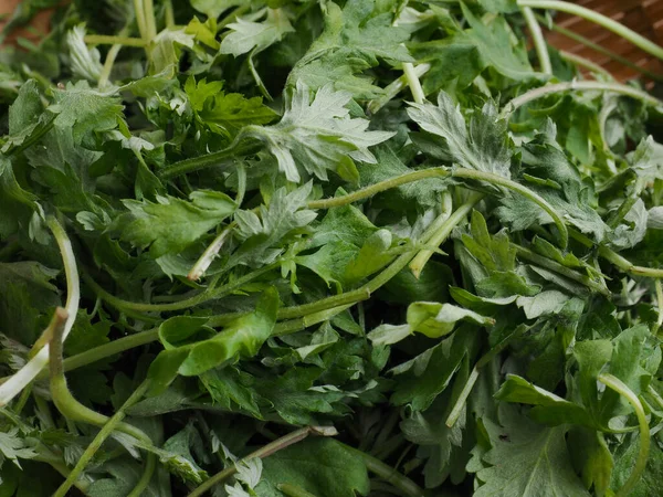 Green leafy vegetables, mugwort, food ingredients