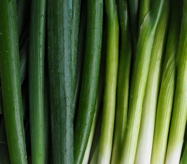 Taze organik sebzeler Galler soğanı