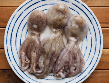 Taze deniz ürünleri ahtapotu, yiyecek malzemeleri.