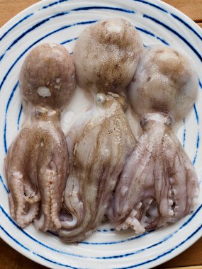 Taze deniz ürünleri ahtapotu, yiyecek malzemeleri.