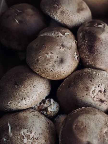 Čerstvá Bio Zelenina Shiitake Houby — Stock fotografie