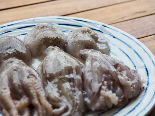 Свежие Натуральные Морепродукты Осьминог Пищевые Ингредиенты — стоковое фото