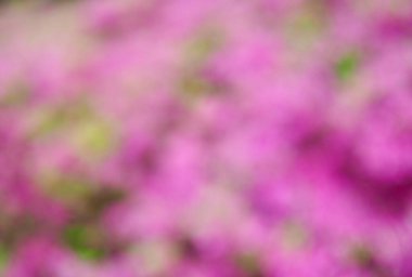 Bokeh ile soyut bahar arkaplanı 