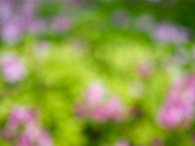 Bokeh ile soyut bahar arkaplanı 