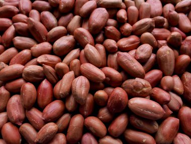 Organik fıstıklar, yiyecekler, atıştırmalıklar.