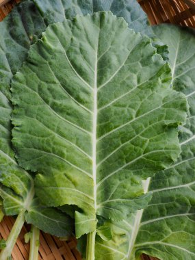 Taze Organik Yaprak Sebze Kalesi