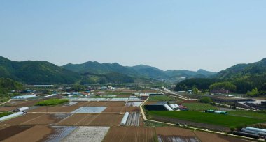Kore pirinç tarlaları, gökyüzü ve dağlar