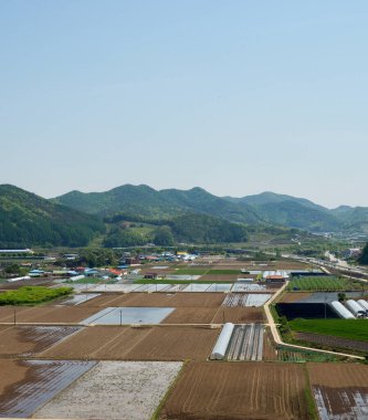 Kore pirinç tarlaları, gökyüzü ve dağlar