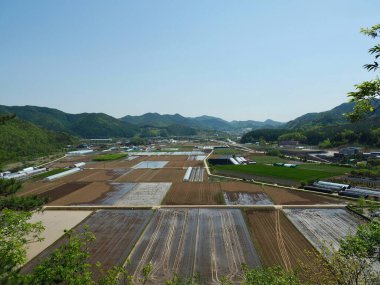 Kore pirinç tarlaları, gökyüzü ve dağlar