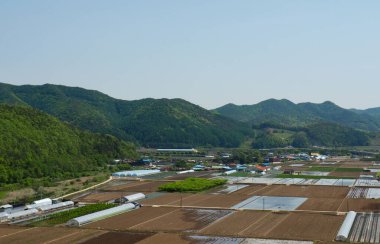 Kore pirinç tarlaları, gökyüzü ve dağlar