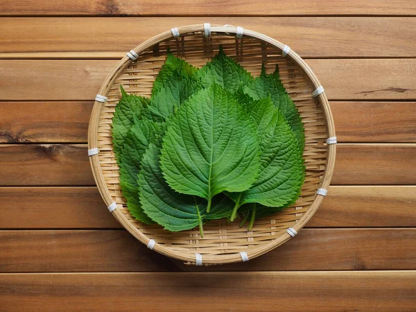 Kore taze organik susam yaprakları