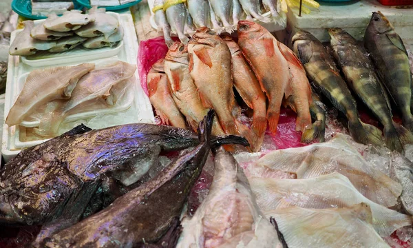 Fisch Meeresfrüchte Zutaten Zum Kochen Lebensmittel Koreanischer Markt — Stockfoto