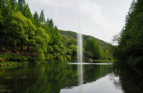 Skogsparksfontän Lake — Stockfoto