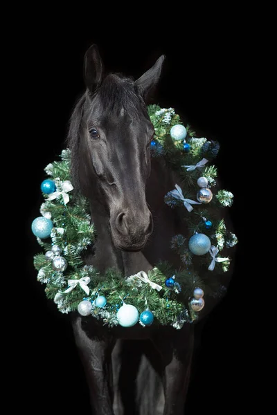 Black horse in christmas wreath. New Year and Christmas horse