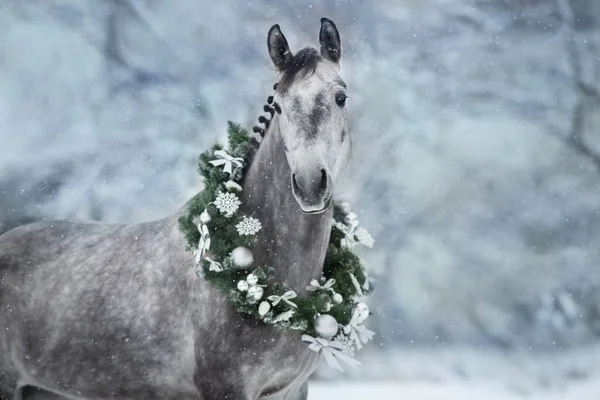 雪の日にクリスマスリースと白い馬 — ストック写真