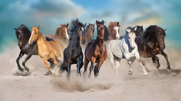 Paarden Vrij Rennen Woestijn Storm Tegen Zonsondergang Hemel — Stockfoto