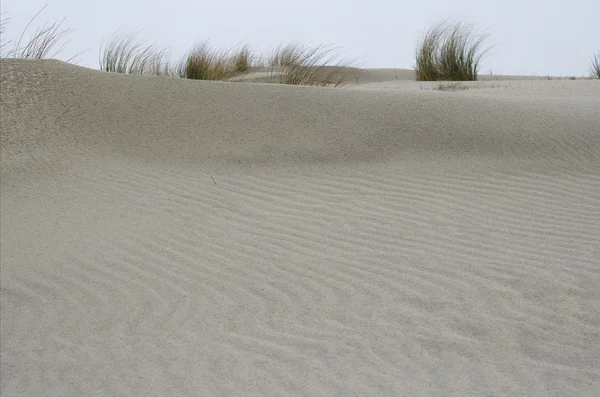 Zand met gras — Stockfoto