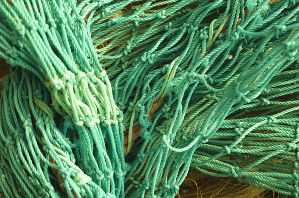 Balık ağı görünümü — Stok fotoğraf