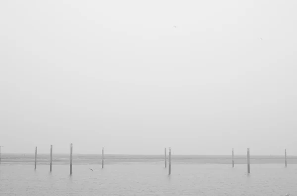 霧と波のない海 — ストック写真