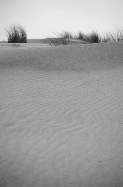 Dunas junto al mar — Foto de Stock