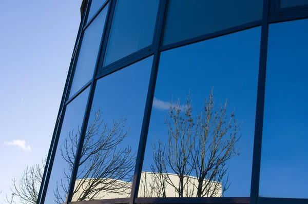 Trees reflect in glass building — Stock Photo, Image
